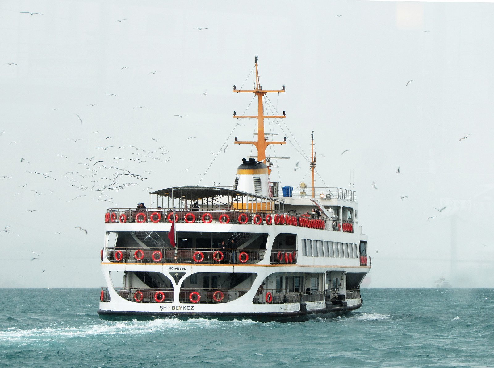 transporte isla mujeres